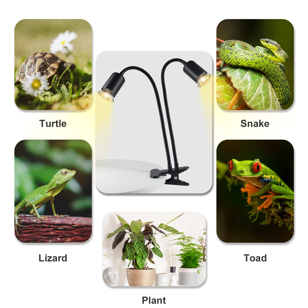 TFNN Reptile Heat Lamp, Double-Head Heat Lamp with Clamp, UVA UVB Reptile Light with Intelligent Cycle Timer for Turtle, Bearded Dragon, Lizard and More, 2 Bulbs 25W+50W
