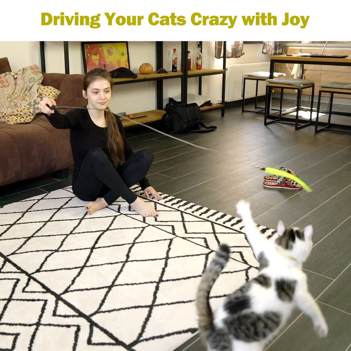 MeoHui Cat Toys for Indoor Cats, Interactive Cat Toy 2PCS Retractable Wand Toy and 9PCS Cat Feather Toys Refills, Funny Kitten Toys Cat Fishing Pole Toy for Bored Indoor Cats Chase and Exercise
