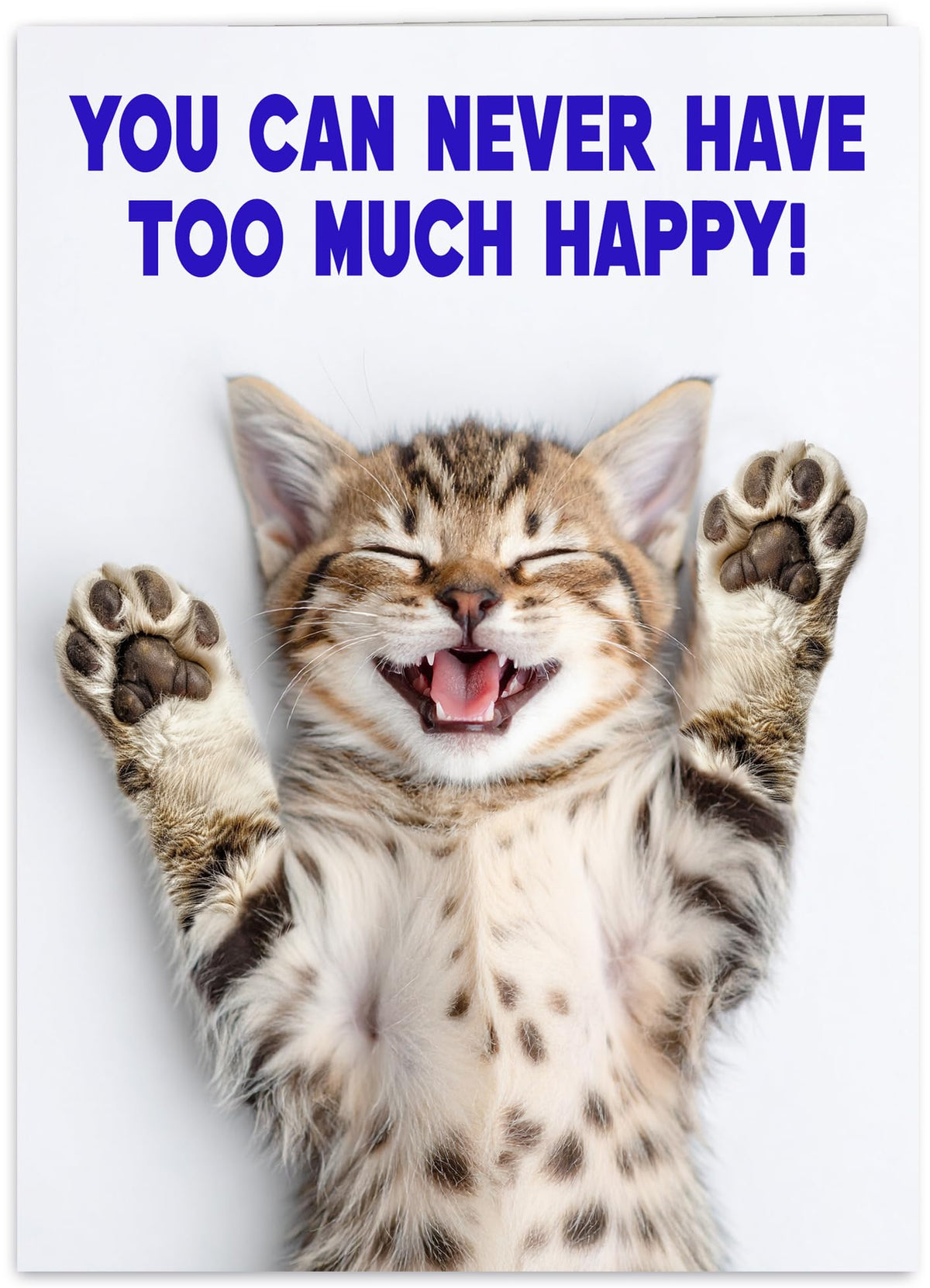 Funny Birthday Card for Women, Friends, Cat Lovers! Cute Kitten Photo