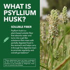 Vegan Psyllium Husk Fiber Capsules, GLP-1 Nutritional Support, 270 Pills