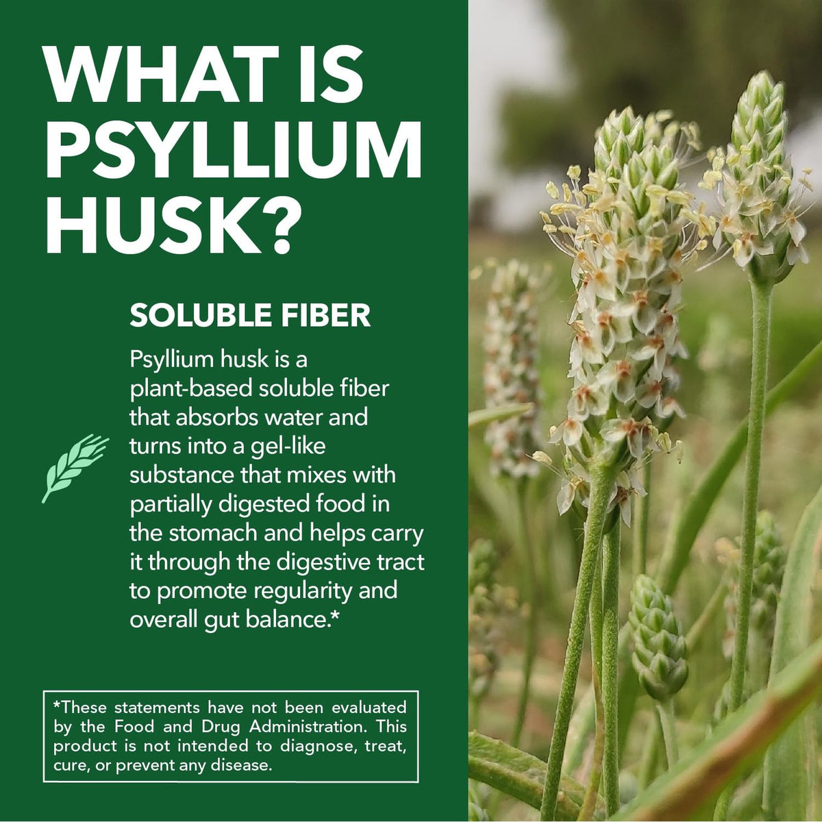 Vegan Psyllium Husk Fiber Capsules, GLP-1 Nutritional Support, 270 Pills