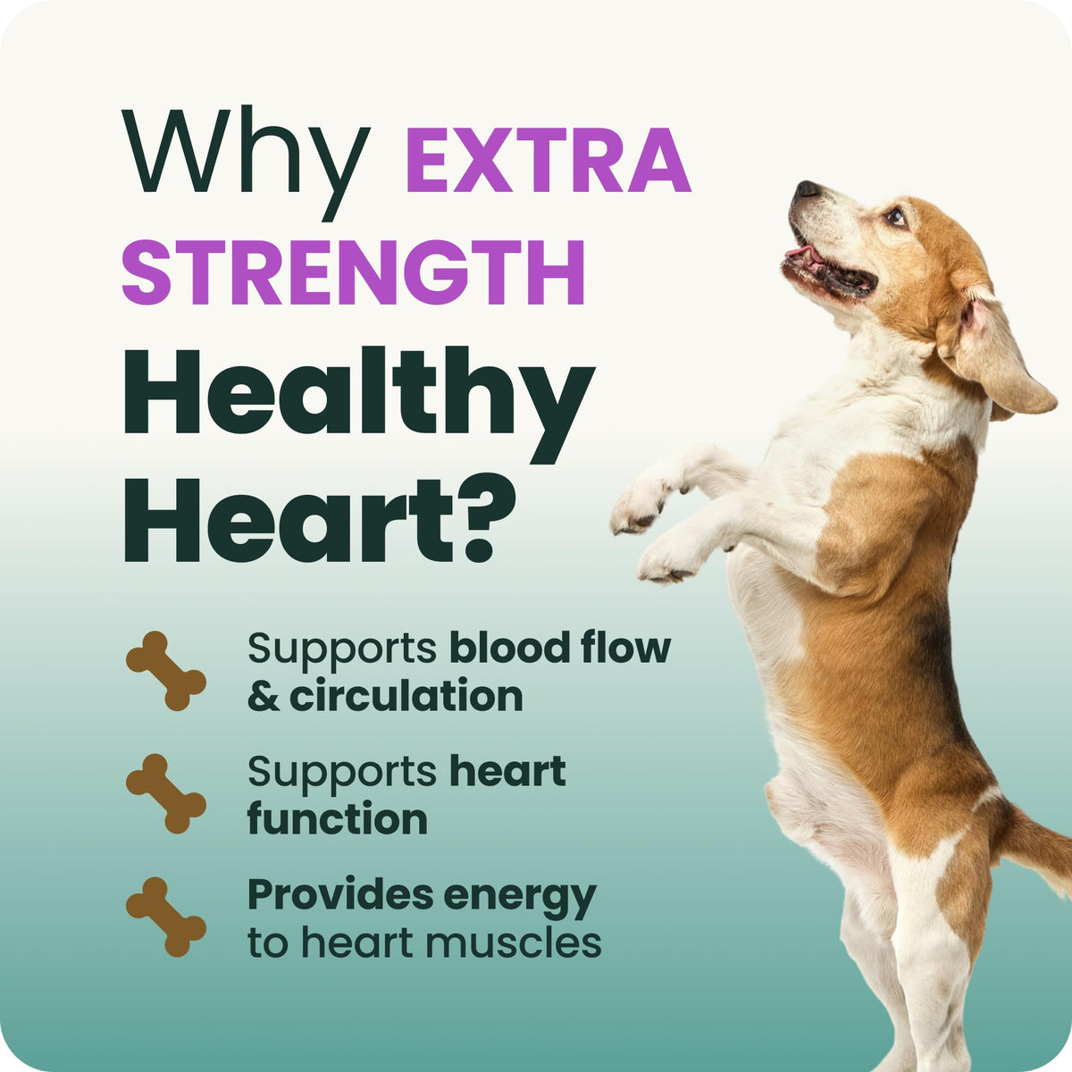 VetriScience Extra Strength Healthy Heart Chews for Dogs, Chicken, 60 Count