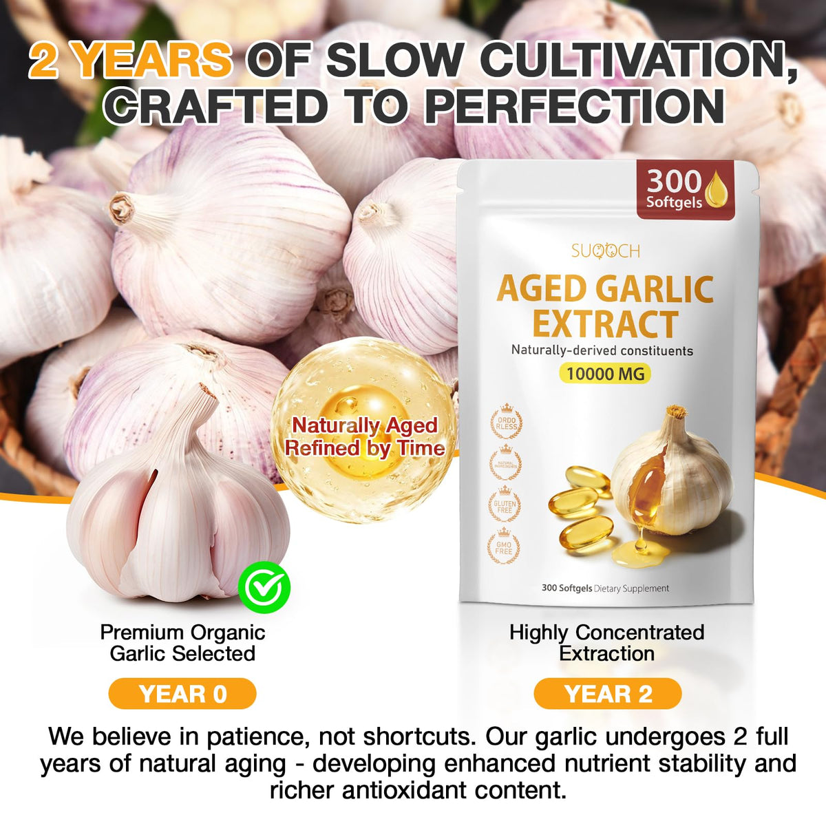 Odorless Aged Garlic Extract - 2-Year Aged Garlic Supplement for Heart Health & Immune Support - Natural Antioxidant Formula, Non-GMO, Gluten-Free - 300 Softgels (150-Day Supply)