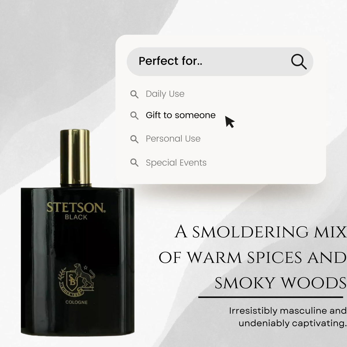 Stetson Black Cologne for Men Spray 3.4 Ounces
