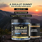 Pure Shilajit Gummies, Sea Moss, Ashwagandha, 105+ Trace Minerals – Organic Burdock Root & Lions Mane Mushroom - Blue Razz – Vegan & Non-GMO – Made in USA – 60ct