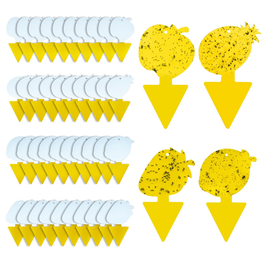 Fruit Fly & Fungus Gnat Traps, Yellow Sticky Traps, 40 Pack