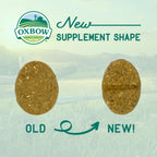 Oxbow Natural Science Skin & Coat Support for Rabbits & Guinea Pigs, 4.2 oz