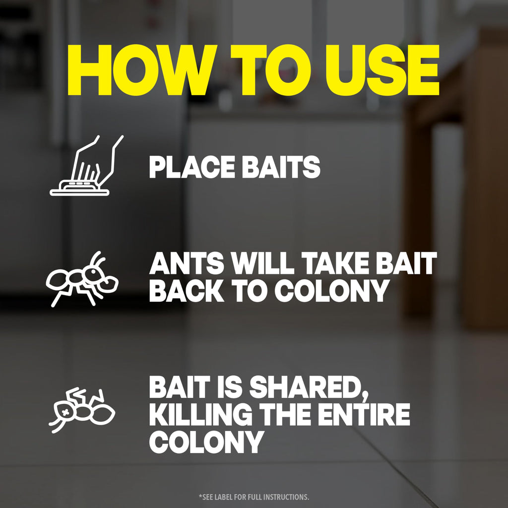 Raid Max Liquid Ant Bat; Kills Ants Where They Breed, for Indoor and Outdoor Use; 4 Bait Stations