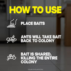 Raid Max Liquid Ant Bat; Kills Ants Where They Breed, for Indoor and Outdoor Use; 4 Bait Stations