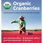 Buy now Organic Cranberry Pills - 50:1 Concentrate Equals 25,000mg of Fresh Cranberries (Vegan) for Urinary Tract Health & Kidney Cleanse - Cranberry Pills for Women - UTI Support Supplement - 60 Capsules at indiglob india