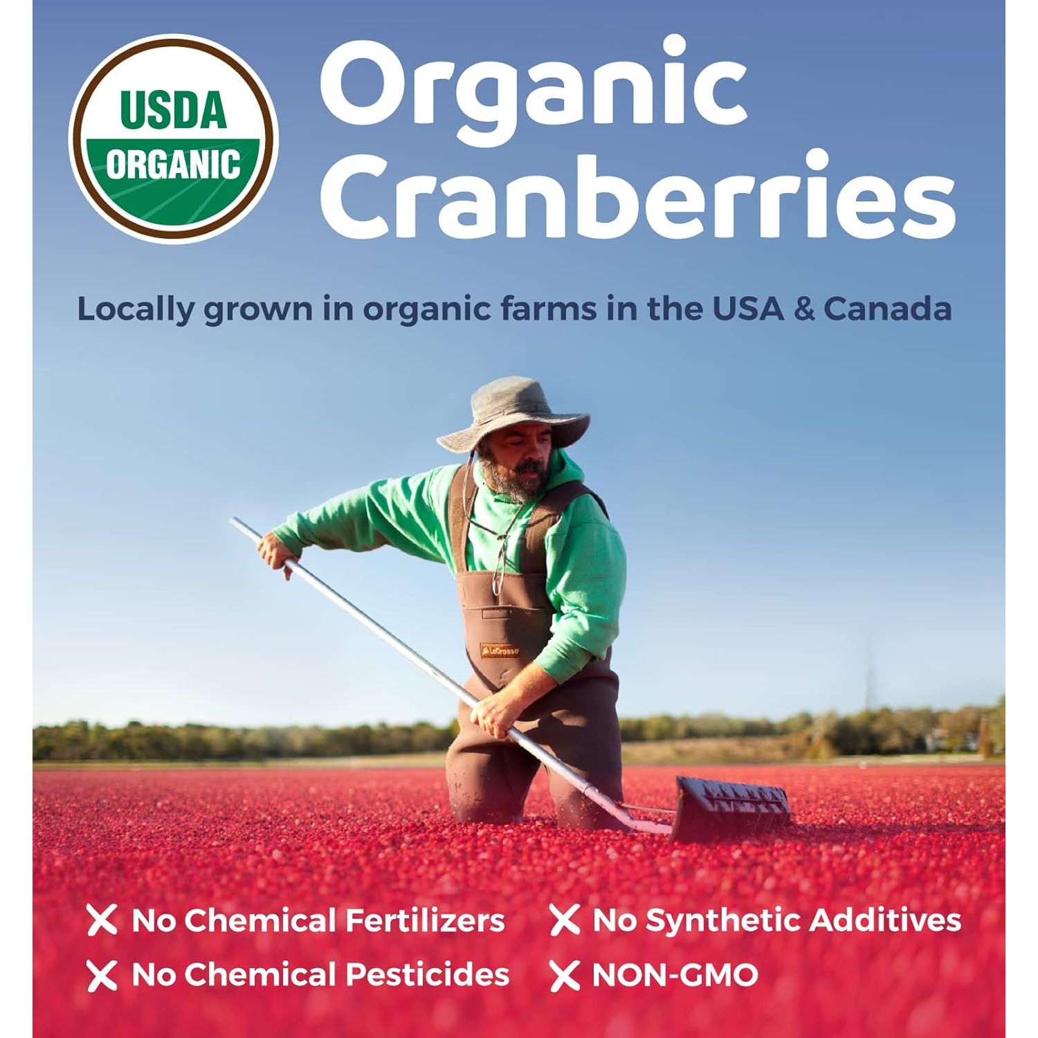 Buy now Organic Cranberry Pills - 50:1 Concentrate Equals 25,000mg of Fresh Cranberries (Vegan) for Urinary Tract Health & Kidney Cleanse - Cranberry Pills for Women - UTI Support Supplement - 60 Capsules at indiglob india