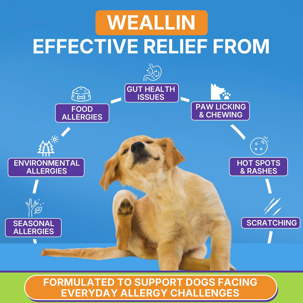 WEALLIN Dog Allergy Chews with Probiotics, Skin & Immune Support, 200 Ct