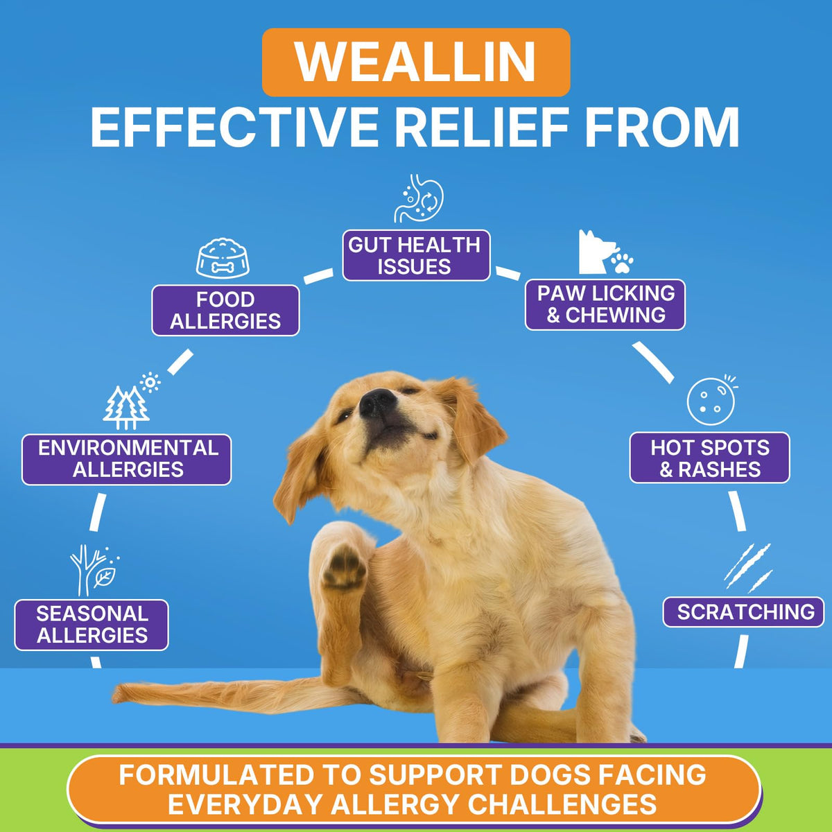 WEALLIN Dog Allergy Chews with Probiotics, Skin & Immune Support, 200 Ct