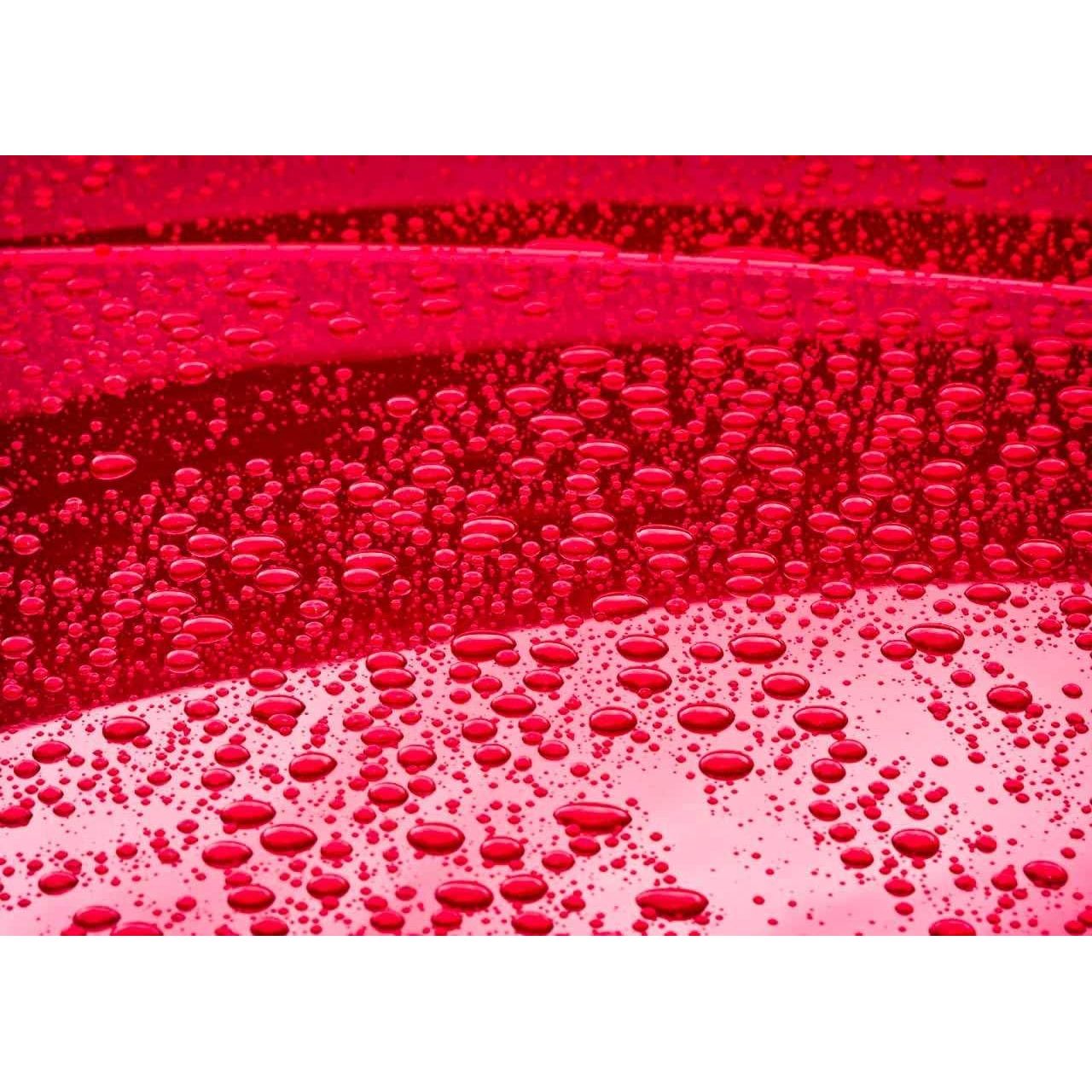 Buy now CARPRO CQUARTZ UK 3.0 - Ceramic Coating for Cars, Quartz Based Nanotechnology, Bonds to Paint, Glass, Metal and Plastic - (50ml Kit w/Reload 2.0) at indiglob india
