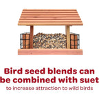 Buy now Kaytee Woodpecker Seed Cake, Wild Bird Food, 1.85 Pounds at indiglob india