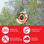 Buy now Bird B Gone - Reflective Eye Bird Diverters - Set of 5 - Foil Deterrent Mimics Predator Eyes - Scares Birds Away - for Trees, Patios, Gazebos, Boats, Etc - Durable Outdoor Plastic - 360° Rotation at indiglob india
