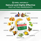 Buy now OWELL Naturals Drawing Salve Ointment for Boil & Cyst Removal, Ingrown Hair, Splinter Remover, Bug Spider Bites, Bee Sting, Mosquito Itching, Poison Ivy, Flare, Hangnail at indiglob india