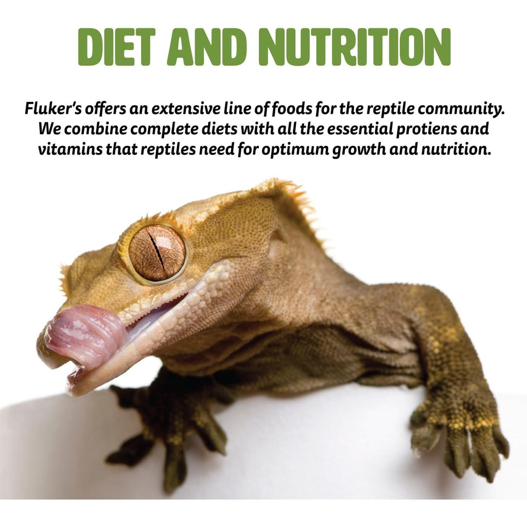 Buy now Fluker's Aquatic Turtle Diet, Food Pellets for Turtles, 8 oz at indiglob india