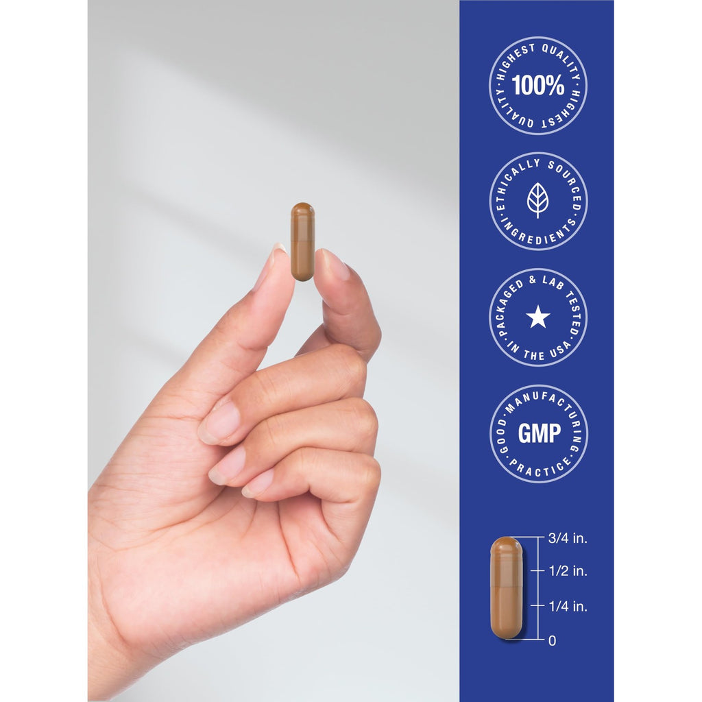 Horbäach PQQ Supplement 40 mg | 120 Capsules | Maximum Strength