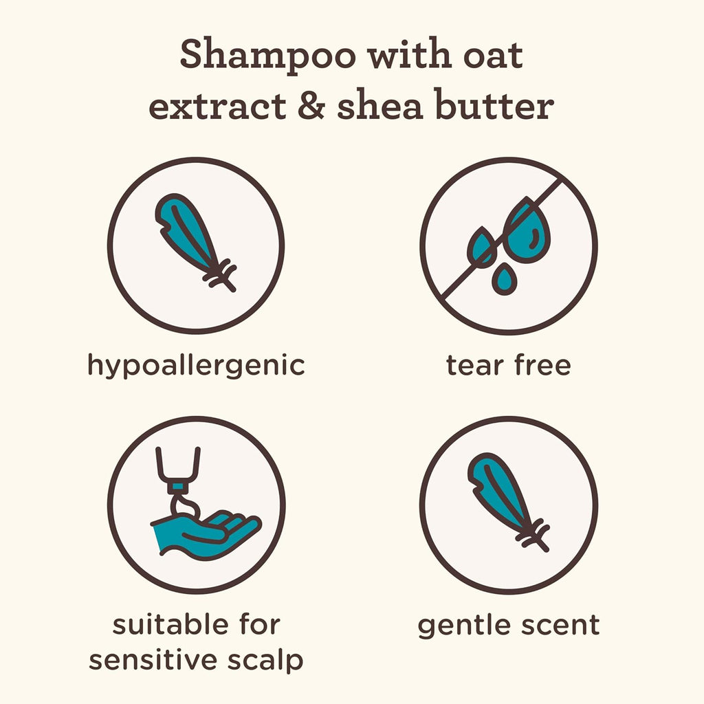 Buy now Aveeno Kids Curly & Coily Hair Shampoo, Hydrating Shampoo for Type 3 & 4 Hair, Kids Curly Hair Products suitable for Sensitive Scalps with Oat Extract & Shea Butter, Paraben-Free, 12 fl. oz at indiglob india