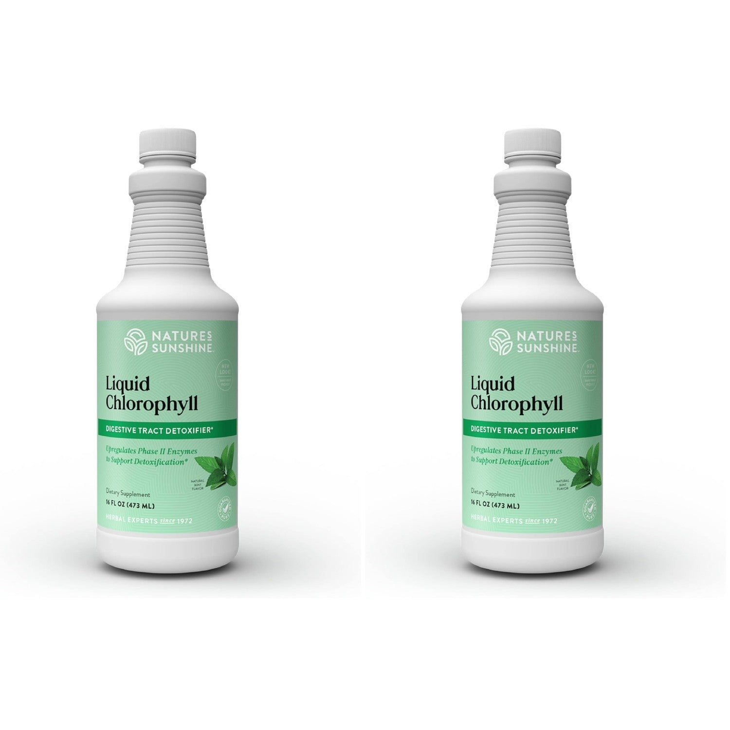Nature's Sunshine Liquid Chlorophyll - Immunity Support, Detox & Cleanse, Chlorophyll Liquid Drops with Spearmint Oil, Natural Energy Boost, Internal Deodorant - 16 Fl Oz