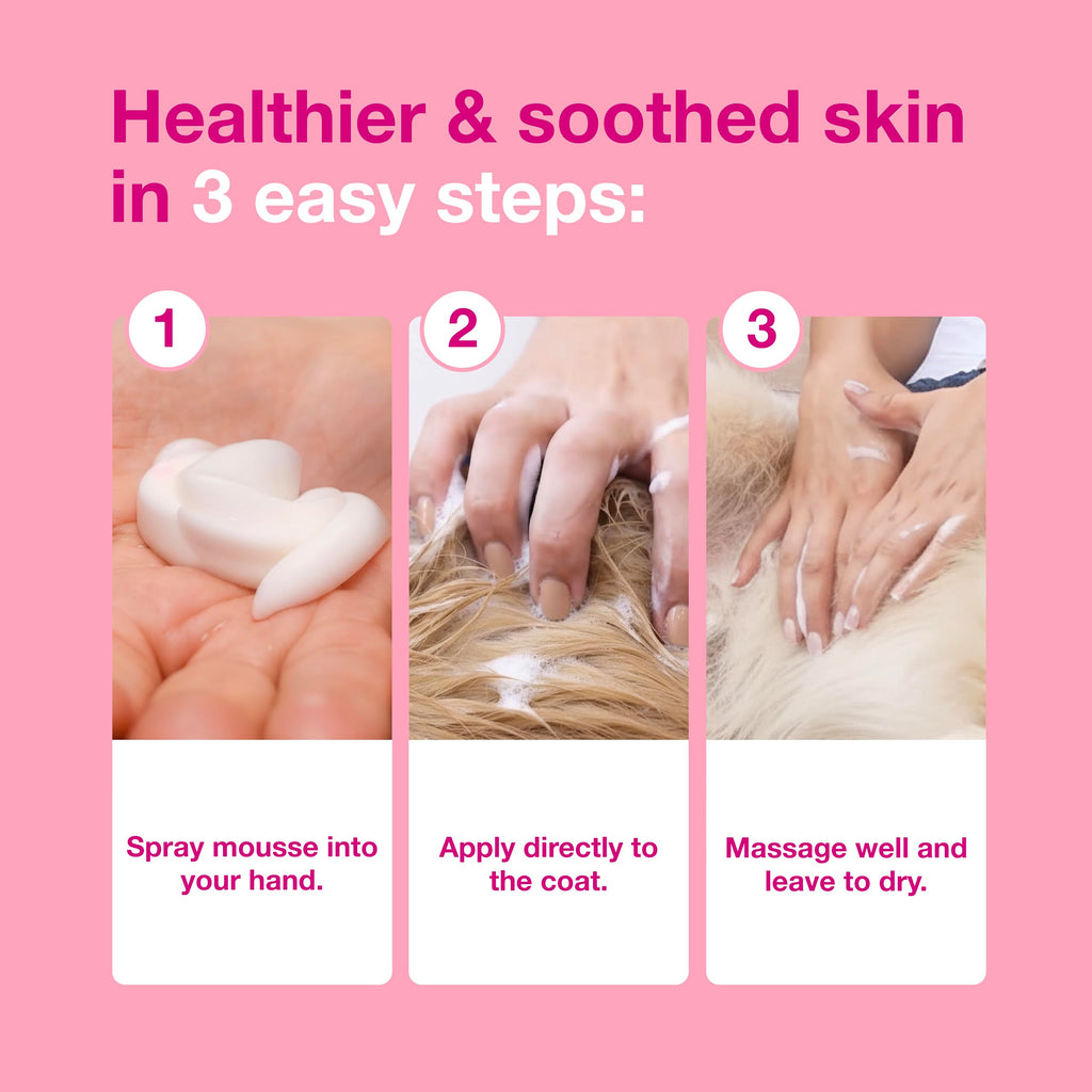 Douxo S3 Calm Itch Soothing Mousse for Dogs & Cats
