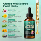 25-in-1 Lymphatic Drainage Drops – Lymphatic Drainage Supplements for Lymph System, Immune Support, Natural Cleanse & Detox - Daily Supplement High Absorption for Overall Wellness 2 Fl Oz (60ml)