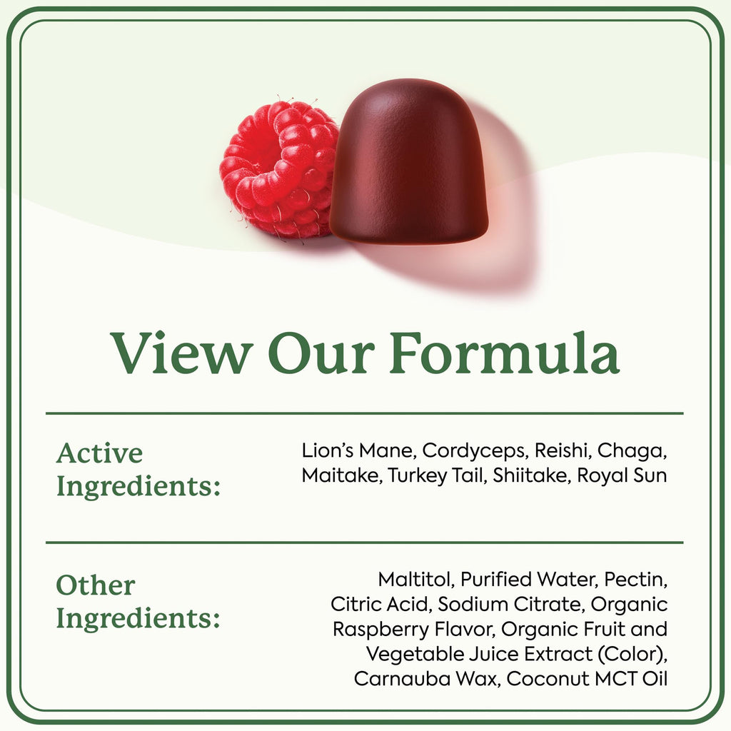 Plant People WonderDay Mushroom Gummies for Energy, Raspberry, 60ct | Chaga Mushroom Supplement to Support Immune System De-Stress Boost Mood & Energy in Adults Natural, Vegan, Non-GMO
