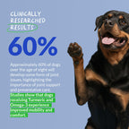 Turmeric Chews for Dogs, Anti-Inflammatory Supplement for Dog Joint Support