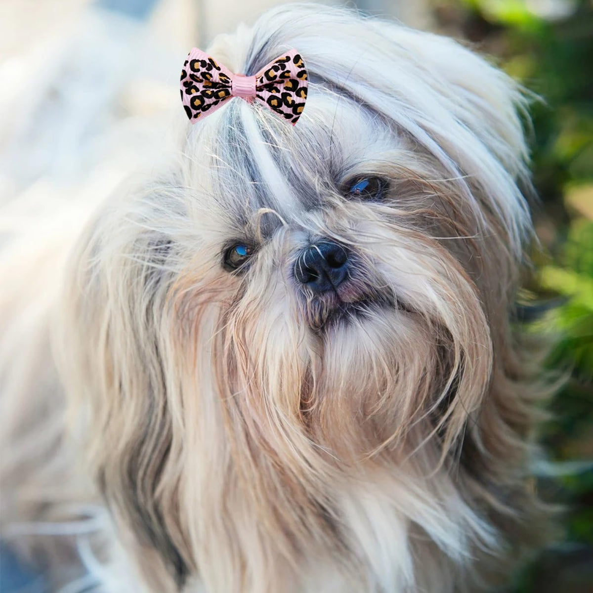 Small Dog Hair Bows with Rubber Bands for Small Medium Dogs