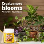 Berkland Keiki Cloning Paste for Orchids & Houseplants, 0.5 oz - 2X Size