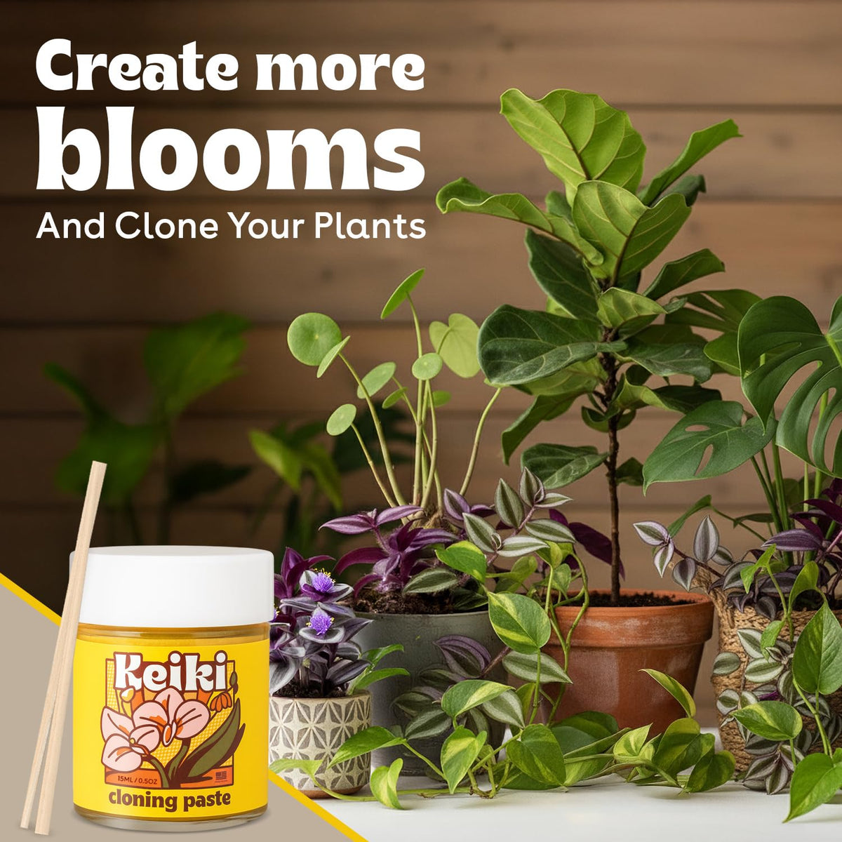 Berkland Keiki Cloning Paste for Orchids & Houseplants, 0.5 oz - 2X Size