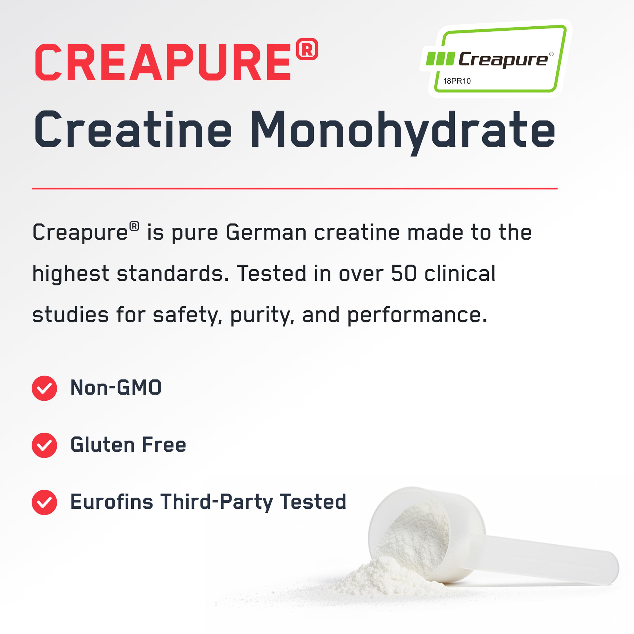 SteelFit Creapure Pure Creatine Monohydrate Powder, Watermelon, 30 Servings | Flavored Creatine Gym Workout Supplements for Lean Muscle Gain, Brain Health, & Strength Building - For Men & Women
