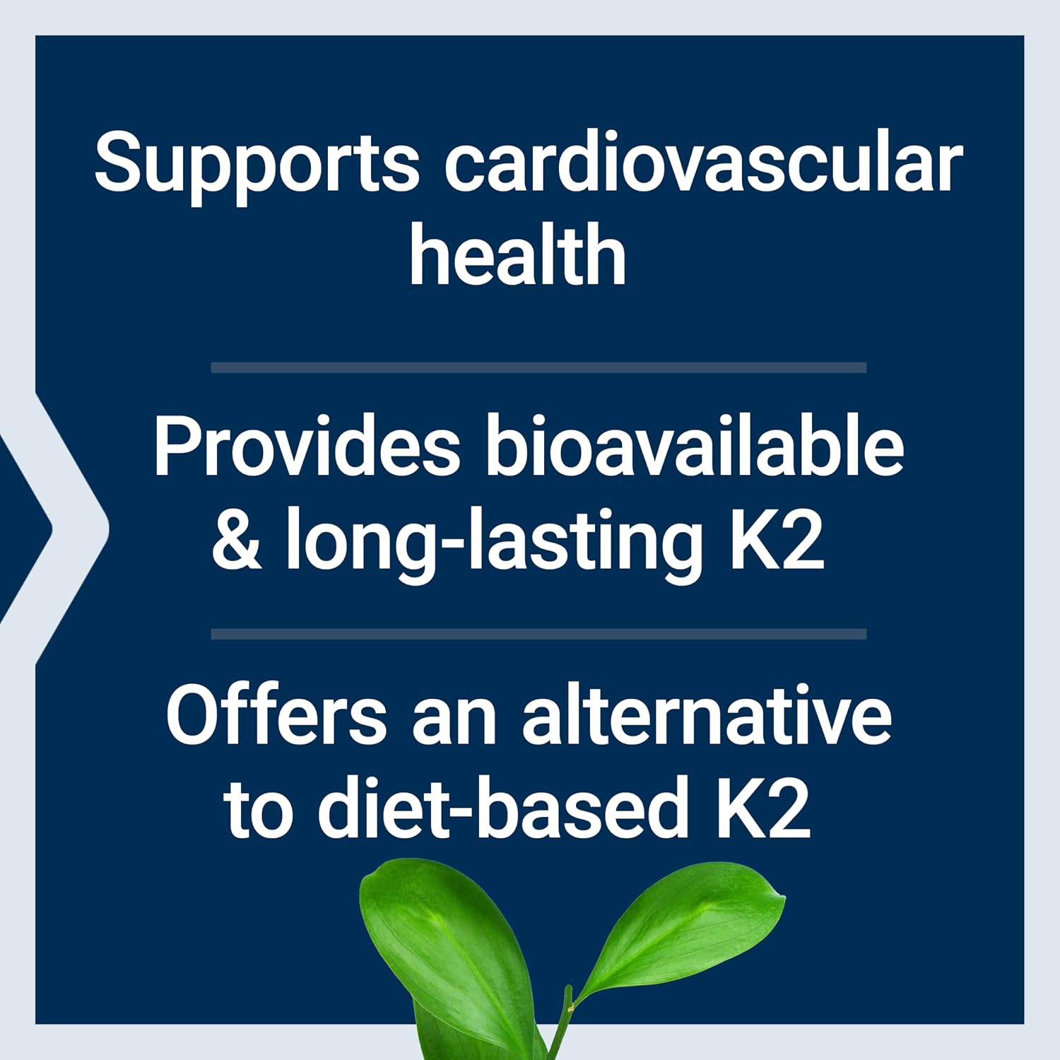 Buy now Life Extension Low Dose Vitamin K2 â€“ Supports Arterial Health â€“ Non-GMO, Gluten-Free â€“ 90 Softgels at indiglob india