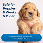 PetAg Sure Grow 100 - Promotes Optimal Bone Development in Puppies Eight Weeks and Older - with Calcium, Phosphorus, and Vitamins A & D - 100 Chewable Tablets