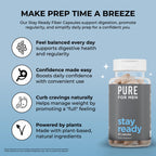Pure for Men Stay Ready Fiber Supplement Psyllium Husk (120 Vegan Capsules) | Daily Fiber Pills for Men, Psyllium Husk, Aloe Vera, Chia & Flax, Digestive Regularity, Gut Health & Bloating Relief, Vegan