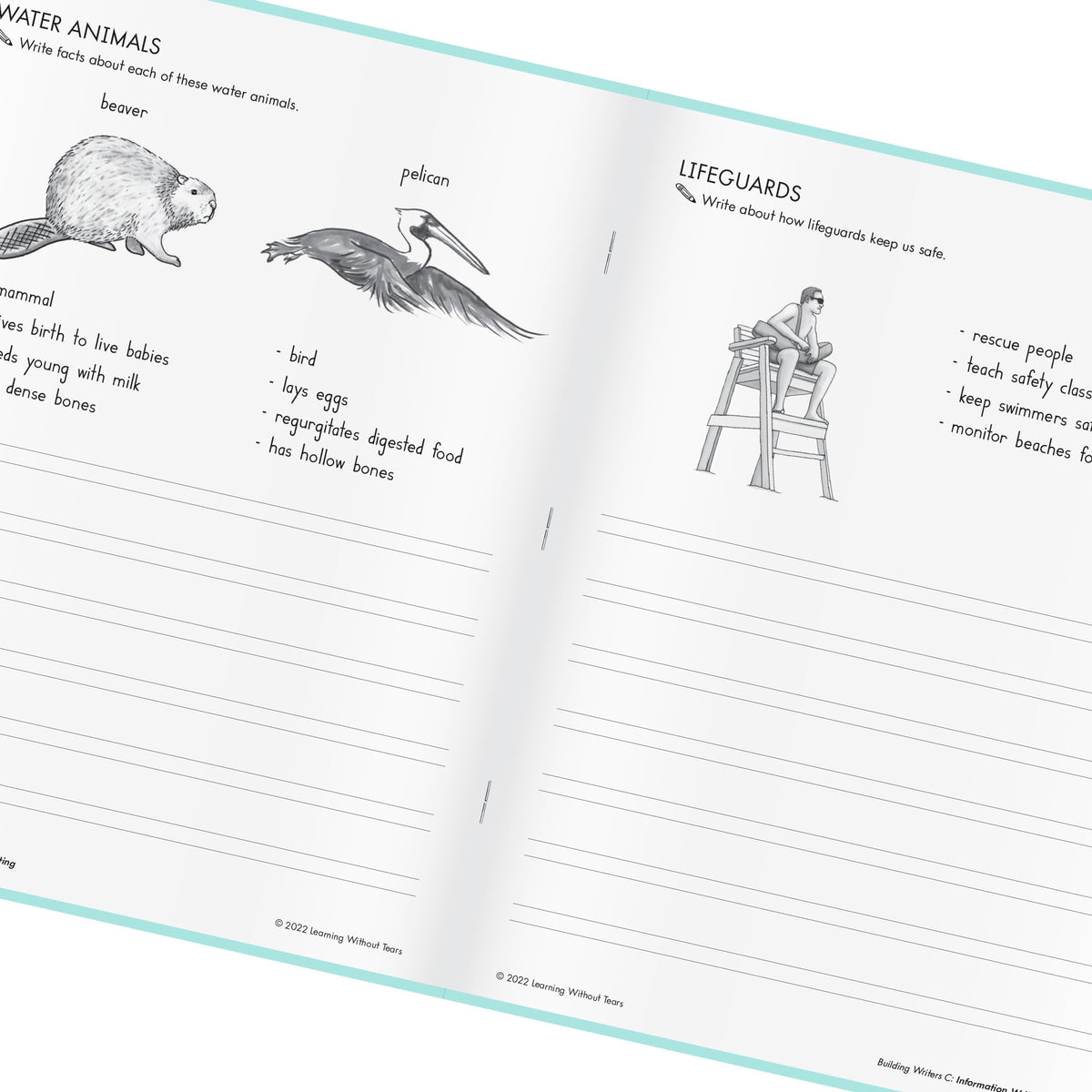 Learning Without Tears Building Writers C Workbook, Writing, 2nd Grade+