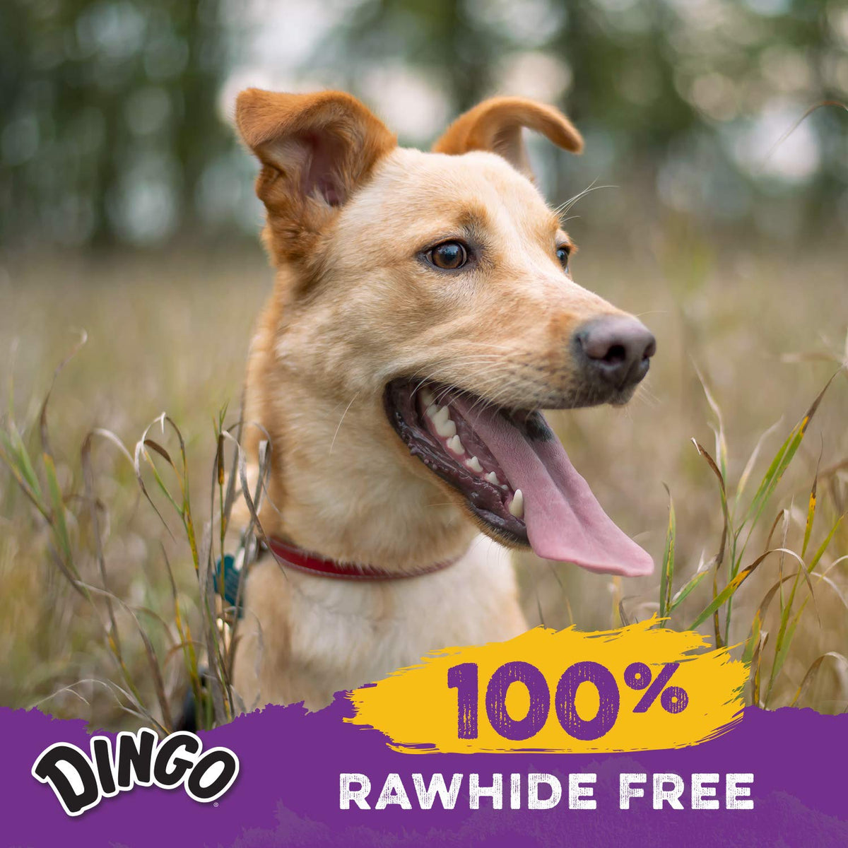 Dingo Delights Rawhide-Free Dog Treat with Real Chicken, 9 Count