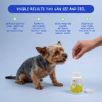 Same for Dogs 120 Tablets - Liver Supplement, Brain & Mood Support
