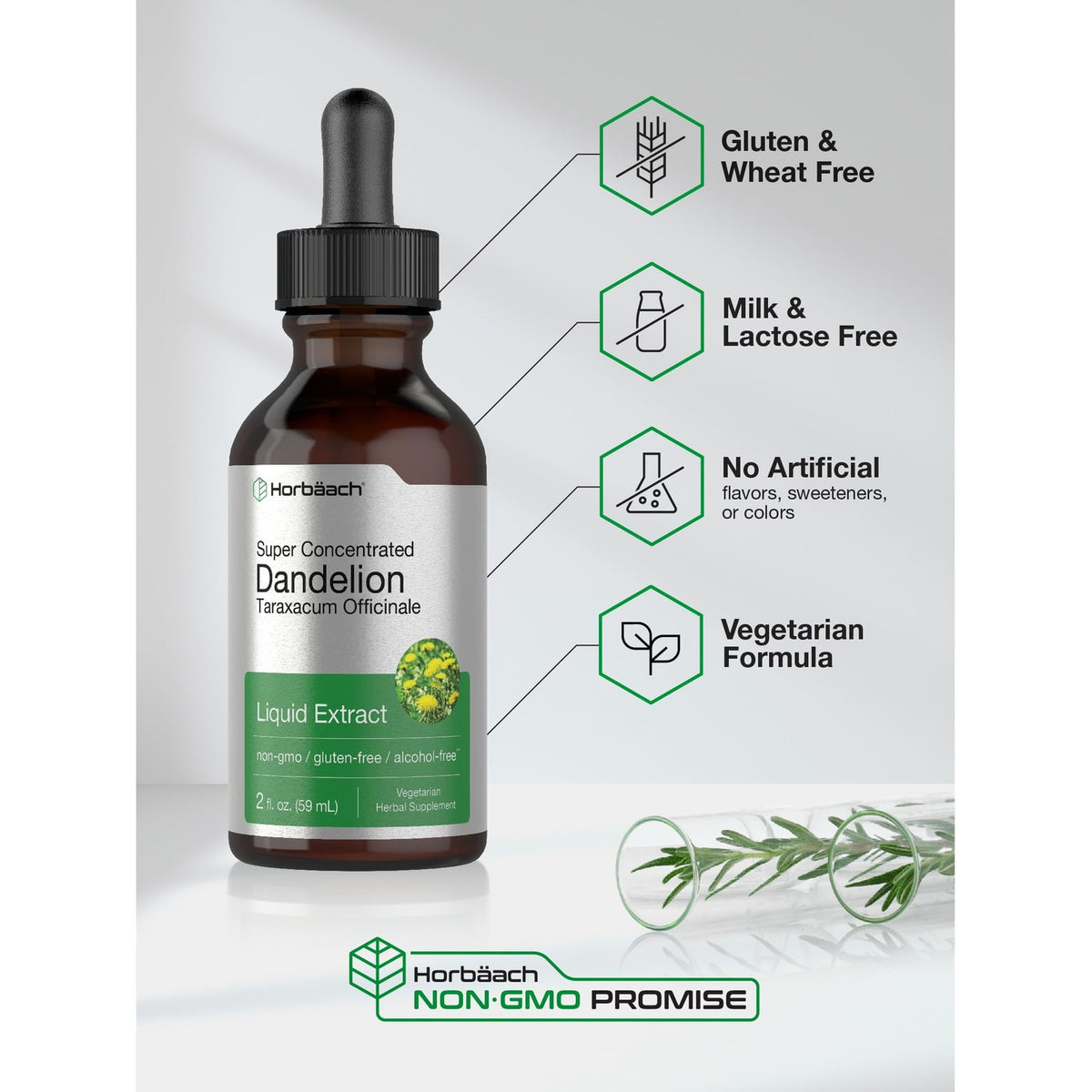 Horbäach Dandelion Root Extract Supplement| 2 fl oz | Super Concentrated