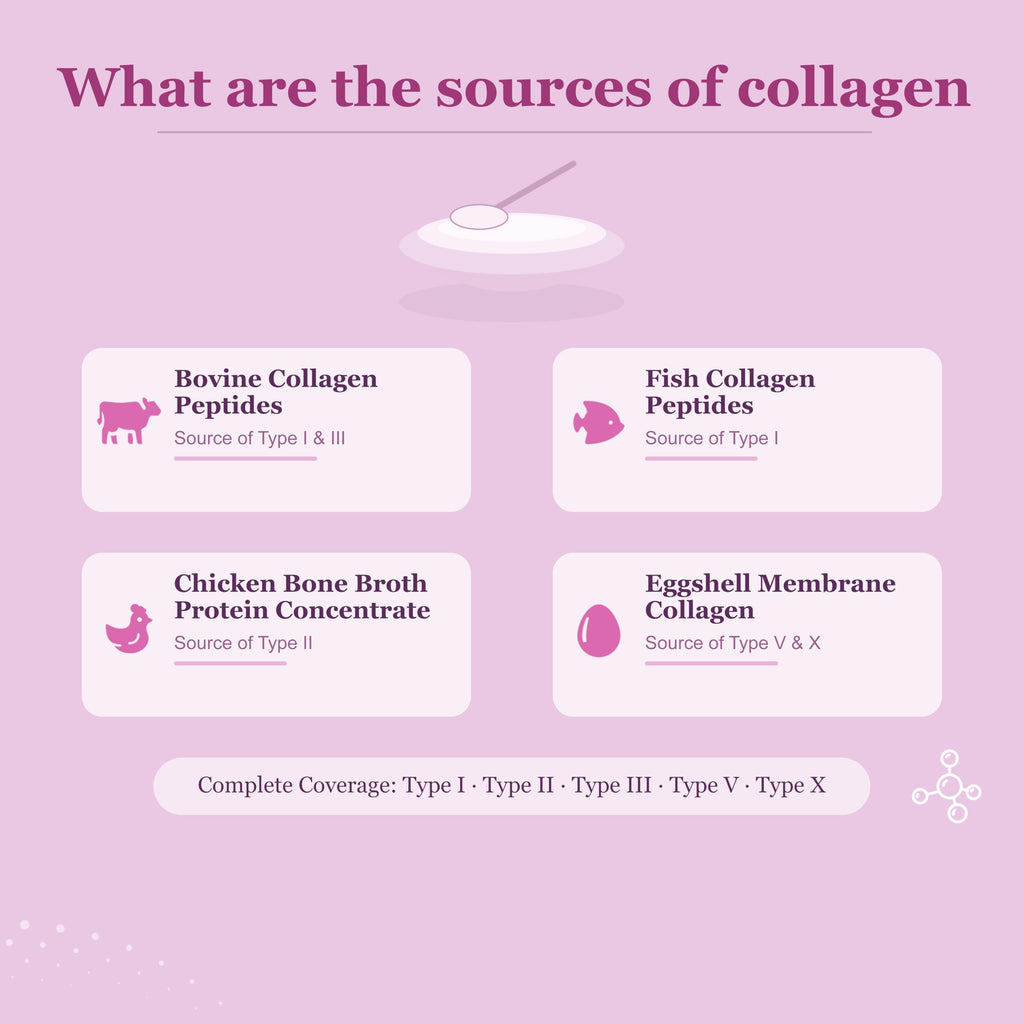 Multi Collagen Peptides Powder, Unflavored, 1lb (41 Servings) | Hydrolyzed Type I, II, III, V, X Collagen with Hyaluronic Acid, Biotin & Vitamin C, Easily Mixes in Drinks