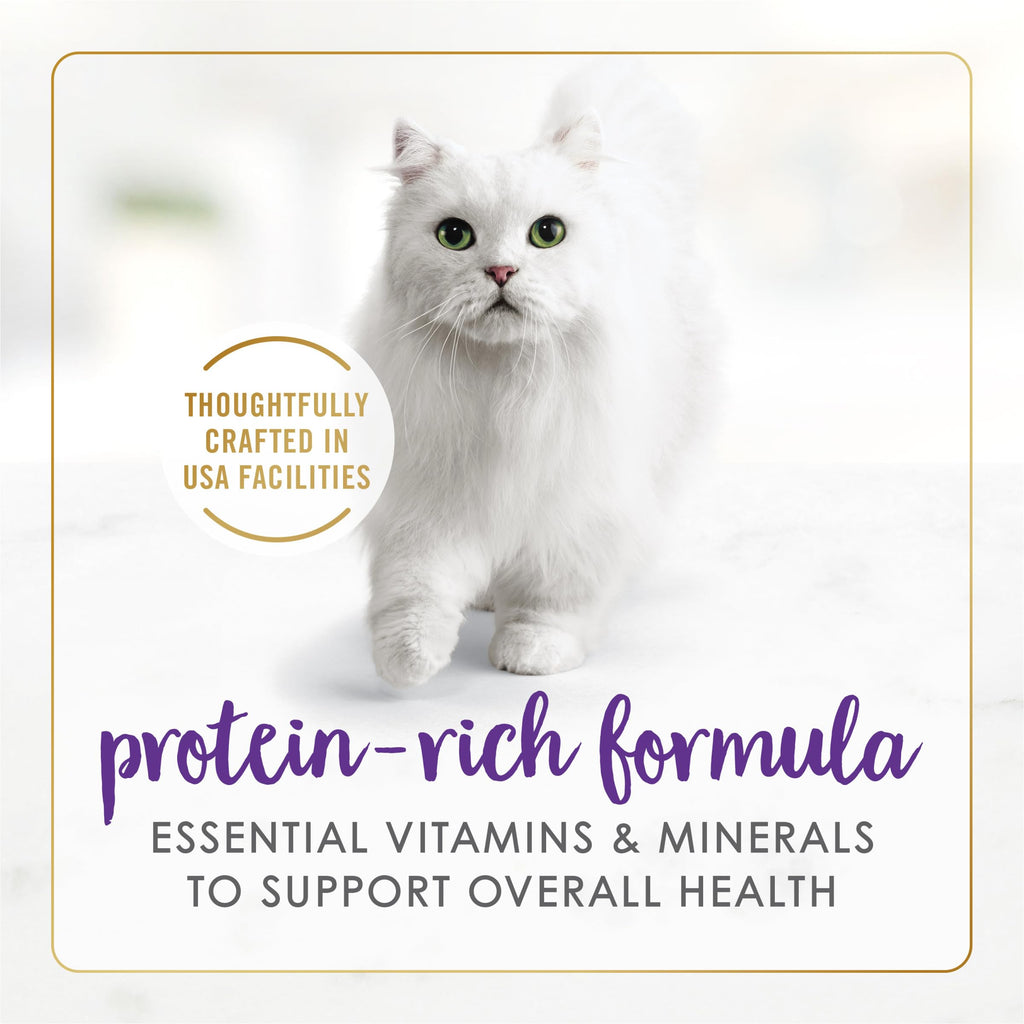 Purina Fancy Feast Delights With Cheddar Wet Cat Food (24) 3 oz Cans