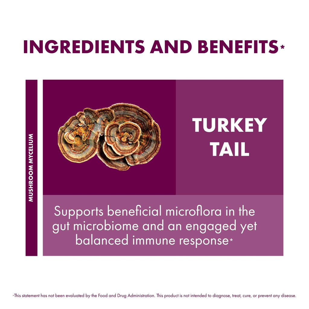 Host Defense Turkey Tail, Digestive & Immune, 240 (2 Units of 120 Ct) | Digestive, Gastrointestinal, Immune Response, and Gut Microbiome Support, Turkey Tail Mushroom Supplement, 60 Servings Each