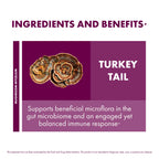 Host Defense Turkey Tail, Digestive & Immune, 240 (2 Units of 120 Ct) | Digestive, Gastrointestinal, Immune Response, and Gut Microbiome Support, Turkey Tail Mushroom Supplement, 60 Servings Each