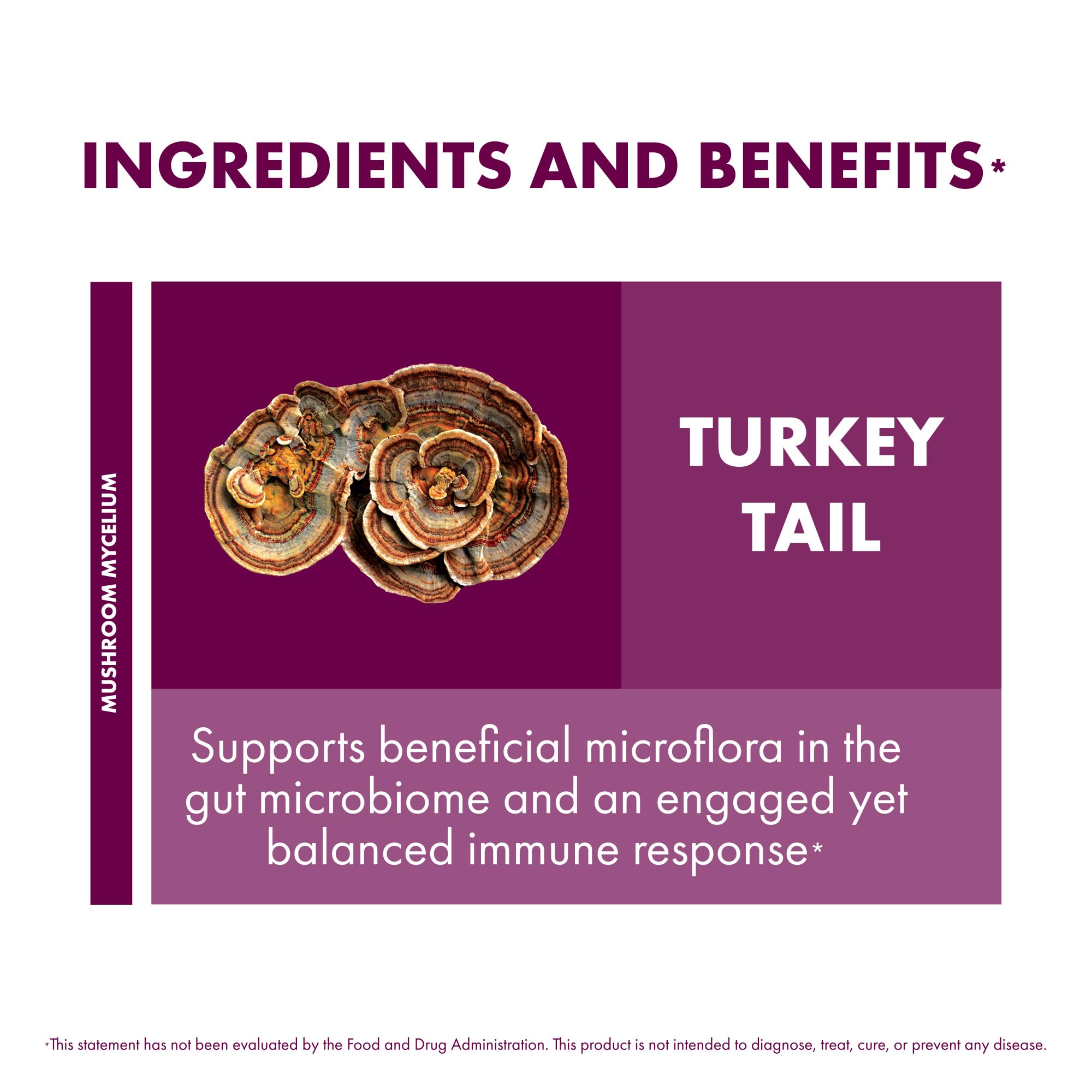 Host Defense Turkey Tail, Digestive & Immune, 240 (2 Units of 120 Ct) | Digestive, Gastrointestinal, Immune Response, and Gut Microbiome Support, Turkey Tail Mushroom Supplement, 60 Servings Each