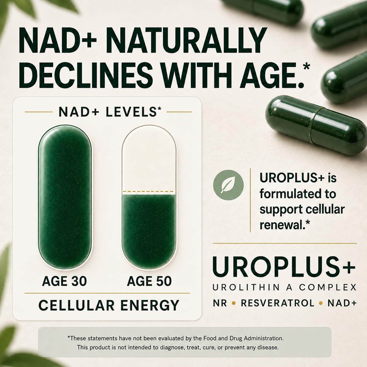 Liposomal Urolithin A Complex, 1250mg 10-in-1 with NAD+, NMD, & Resveratrol | Mitochondrial Energy, Cellular Health, Healthy Aging & Muscle Recovery Support