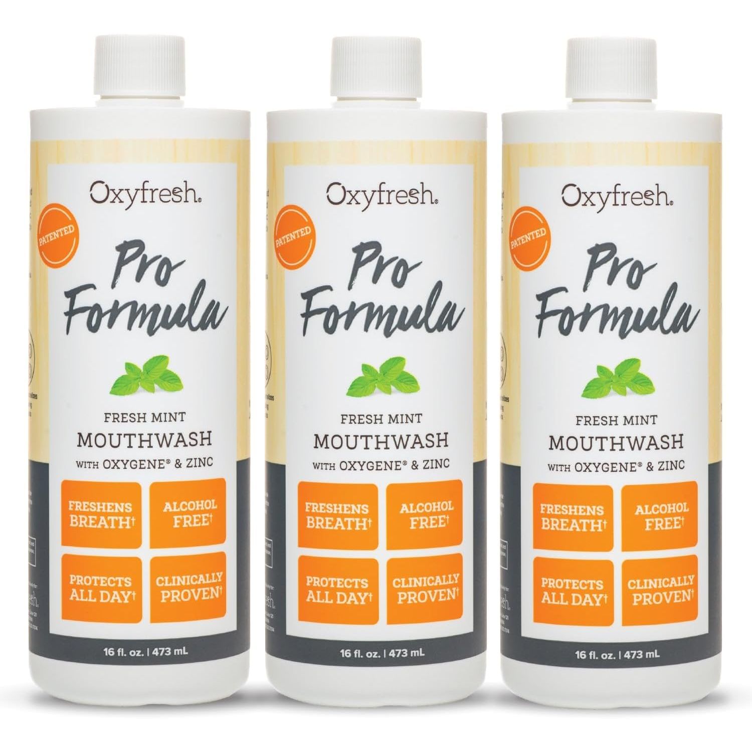 Buy now Oxyfresh Premium Pro Formula Fresh Mint Mouthwash â€“ Patented Zinc Mouthrinse for All Day Fresh Breath & Healthy Gums â€“ Refreshing & Alcohol Free Mouthwash | 16oz 16 Fl Oz (Pack of 3) Fresh Mint w Zinc at indiglob india