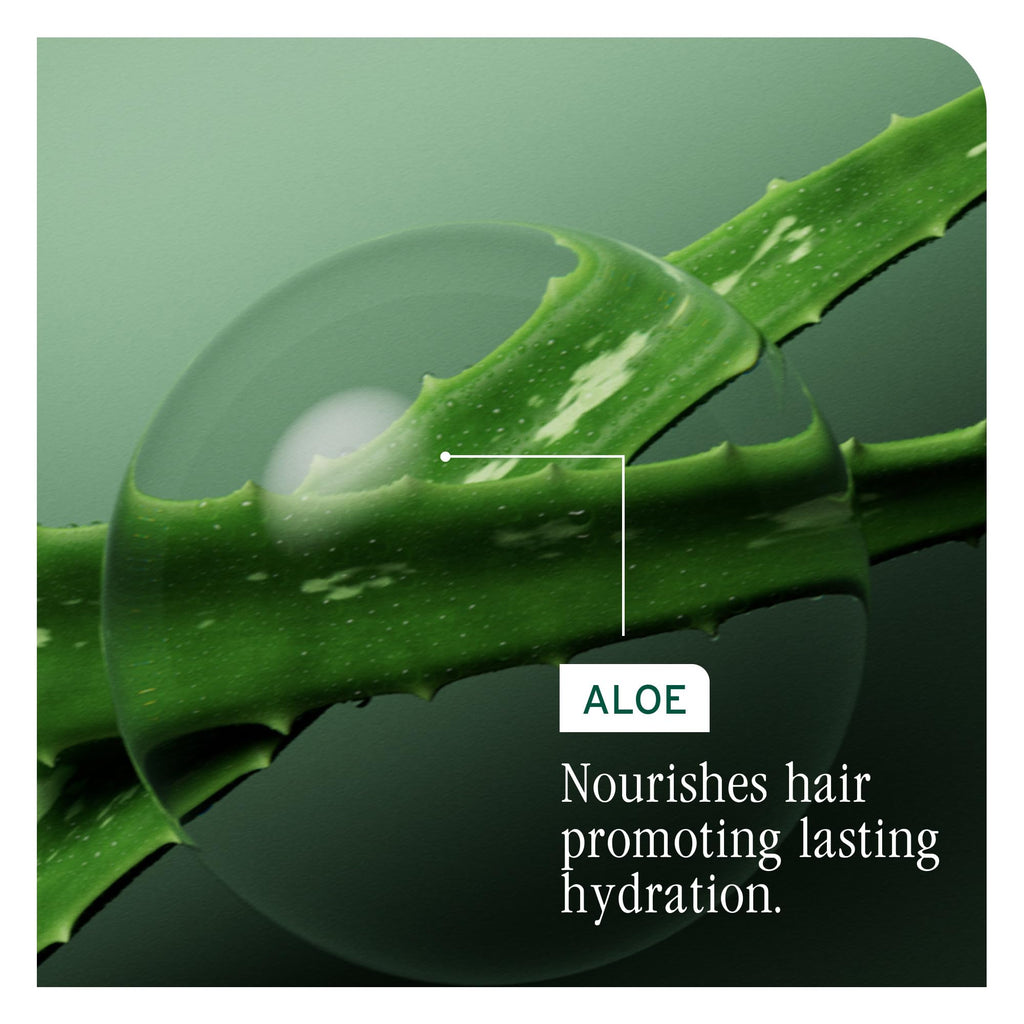 Biolage Hydra Source Shampoo – For Dry Hair | Aloe vera, hyaluronic acid, vegan, paraben-free, softens, moisturizes, adds shine