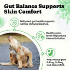 Probiotics for Dogs – Helps Digestion, Loose Stools, Gas & Sensitive Stomachs, Probiotics for Itchy Skin & Dog Yeast Infection, Immune & Fresher Breath with 4 Prebiotics & 5 Digestive Enzymes – 180 ct