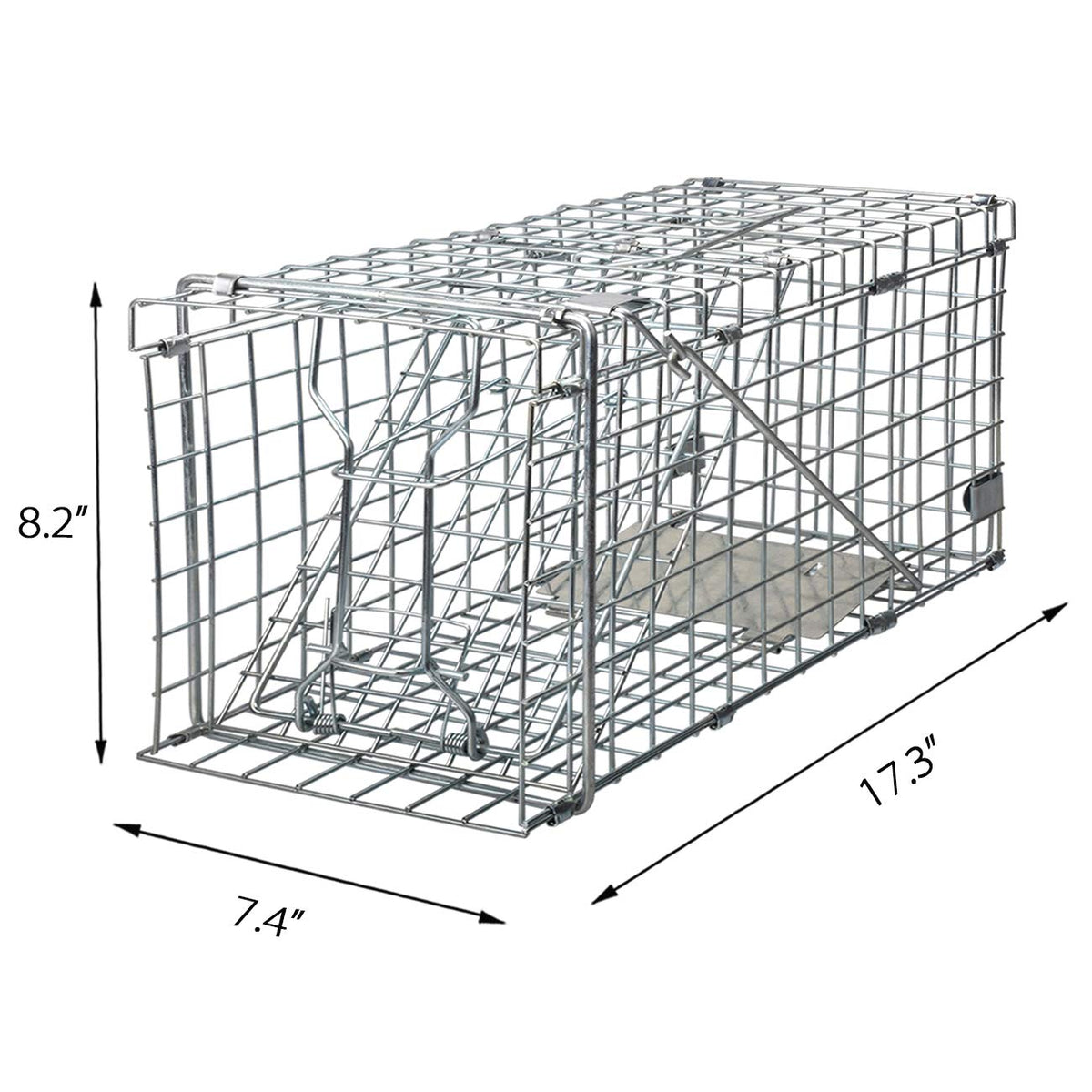 Gingbau Squirrel Trap Foldable Heavy Duty Humane Live Animal Cage Trap (Not for Mouse)